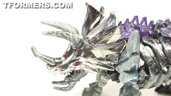 TF4 Dinobots Platinum Edition Unleashed Shared BBTS Exclusive 5 Pack  (73 of 87)